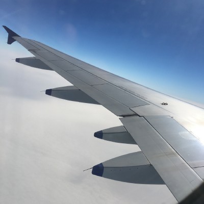 テスト アイカルチャ